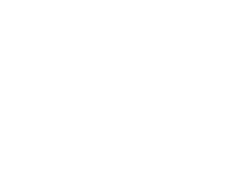 Blue Wolf Reiki